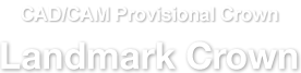 CAD/CAM Provisional Crown